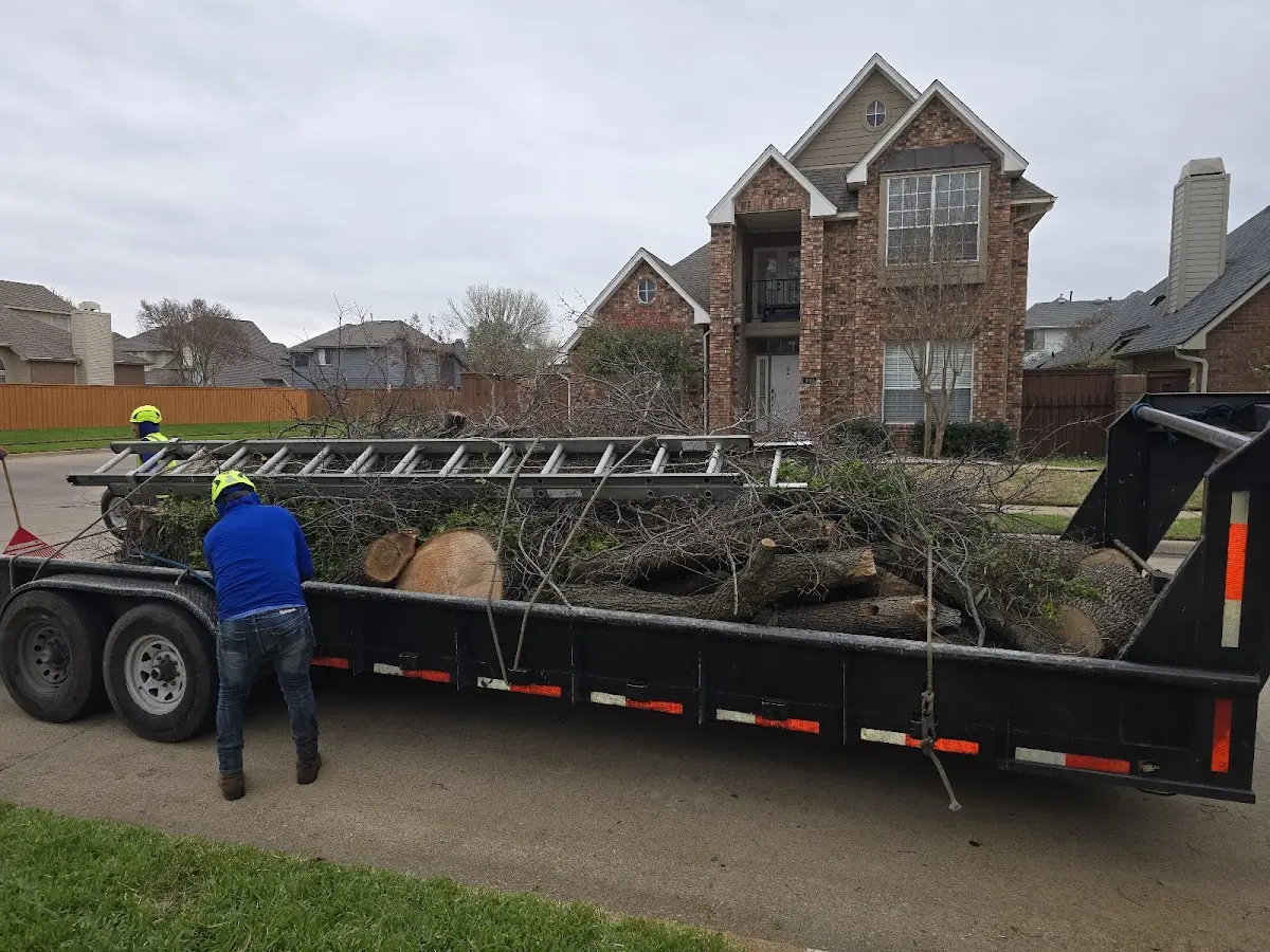 Expert Tree Removal with proper safety equipment in Hindsboro